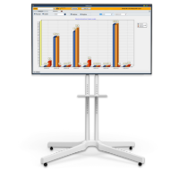 raporty w wms systemie icons