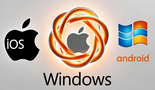 platformy systemu WMS-min